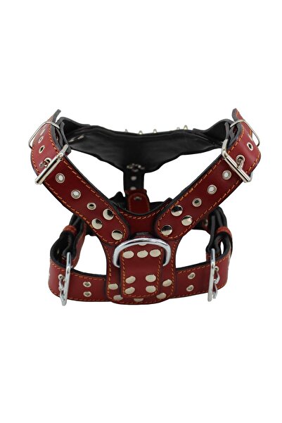 MgTasma El Işçiliği, Özel Tasarım, Gladyatör Tasma Seti, Boyun Tasması, Göğüs Tasması, Gezdirme Ipi