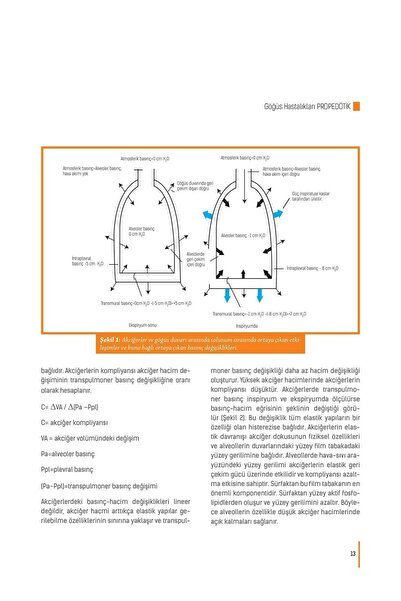 Dünya Tıp Kitabevi Göğüs Hastalıkları Propedötik