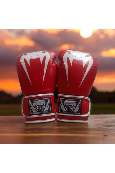 Venum Boxing Gloves