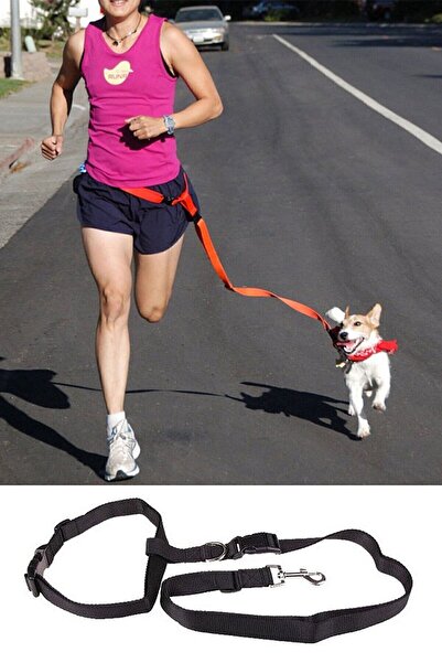 Bundera Köpek Tasması Eller Serbest Lacivert Kedi Köpek Gezdirme Bel Tasması Kayışı Ipi Ayarlanabilir Tasma