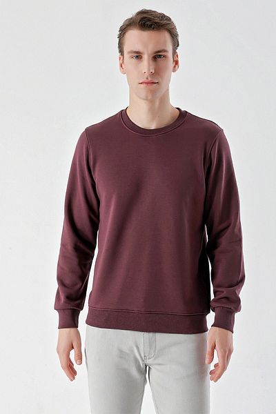 Morven Men's Plum Basic Crew Neck Sweat-Shirt