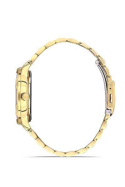 DAVID GUNER Dg-8388Ga-B1 Men's Watch