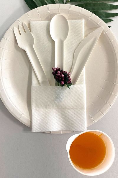Roll-Up Eco-Friendly Ecological Cardboard Tableware Set for 10 Persons 18cm