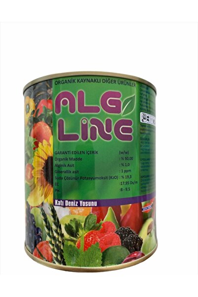 QINGDAO Alg Line Katı Deniz Yosunu