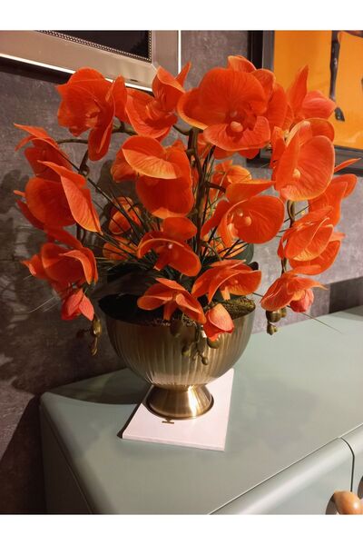 KARCILAR HOME STORE Orkide çiçek