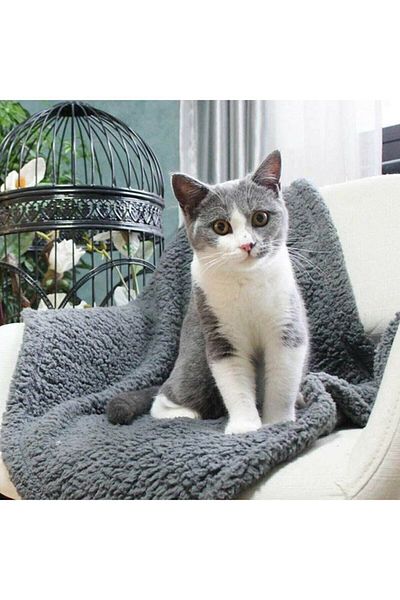 Leiste Welsoft Plush Cat Dog Blanket - Washable Bedspread 80x90