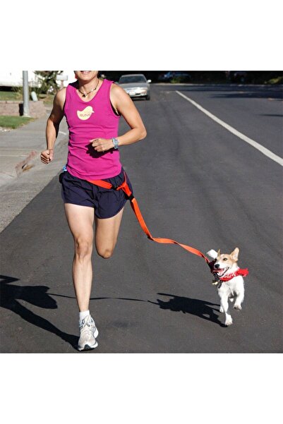 Bundeba Köpek Tasması Eller Serbest Lacivert Kedi Köpek Gezdirme Bel Tasması Kayışı Ipi Ayarlanabilir Tasma