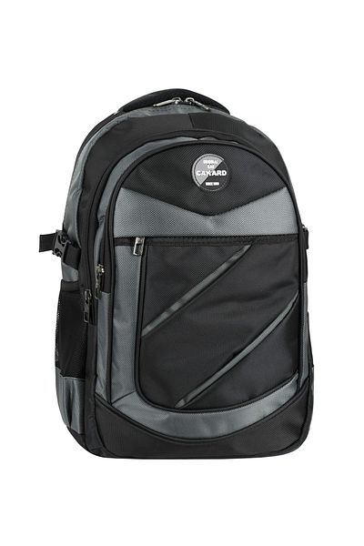 CAKARD School Backpack Casual Mdoel 4009