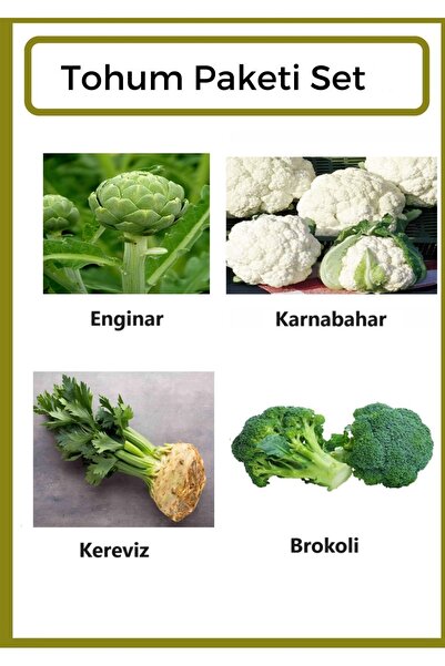 Ziraat Evim Yerli Enginar- Karnabahar- Kereviz- Brokoli Tohumu 500 Adet