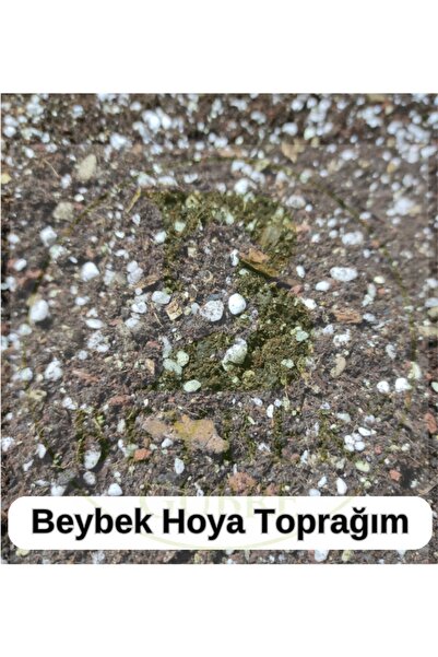 Beybek Gübre Hoya Toprağı 2 Litre Beybek