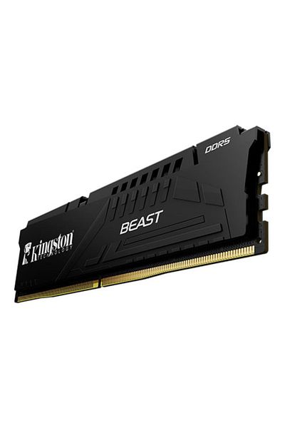 Kingston 16 جيجابايت DDR5 CL36 DIMM - Beast Black EXPO TR، 5600 ميجا هرتز (KF556C36BBE-16TR)