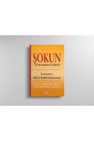 Lena Yayınları Şokun Üstesinden Gelmek