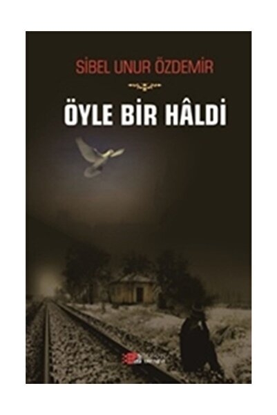 Generic Brand Öyle Bir Haldi, Sibel Unur Özdemir, , Öyle Bir Haldi Kitabı, 12...