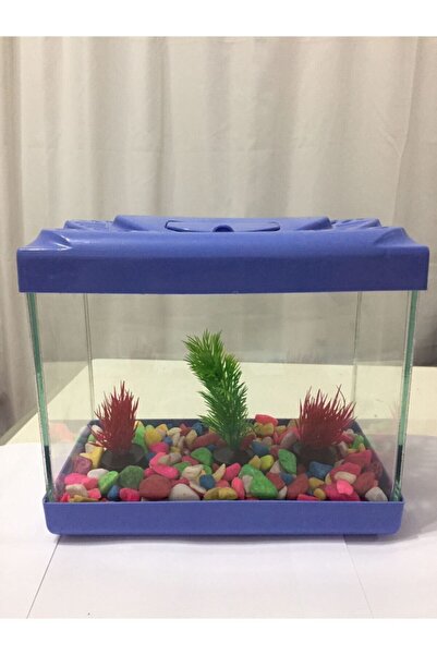 ErtargınShop Küçük Akvaryum 20 Cm 4 Litre Karışık Renkler Gönderilir. Boş Akv...