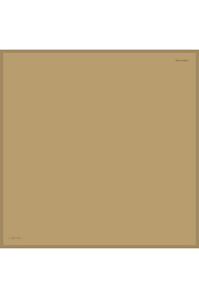 LA BOUTIQUE Culoare uni Sura Silk - 20 - 90X90
