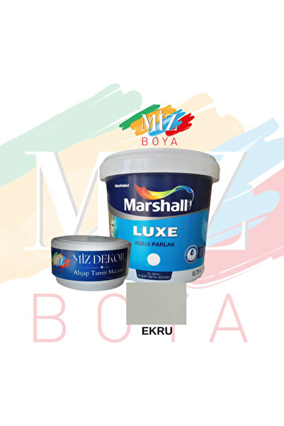 Marshall mutfak dolabı ,panel kapı ve  çelik kapı  boyama seti