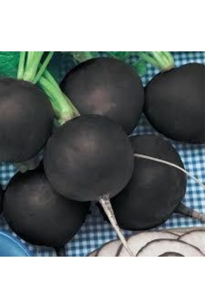 ata tohumculuk Tohum Siyah Turp Tohumu Kara Turp Tohumu + 50 Adet