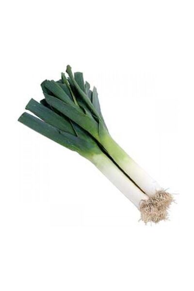 Genel Markalar Bursa İnegöl Pırasa Tohumu 50 Adet Tohum