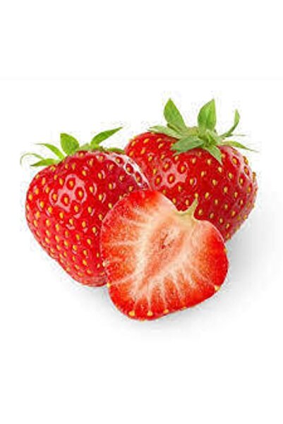 ata tohumculuk 25 Adet Tohum Orjinal Organik Çilek Tohumu Doğal