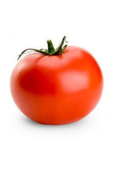 ata tohumculuk Falkon Domates Tohumu 50 Adet