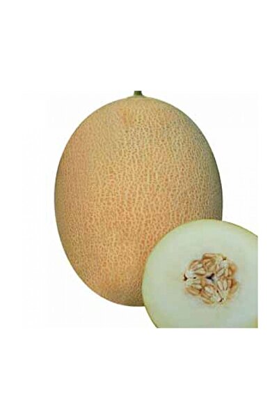 Çam Tohumculuk Ananas Kavun Tohumu 15 Adet Tohum Bal Kavun