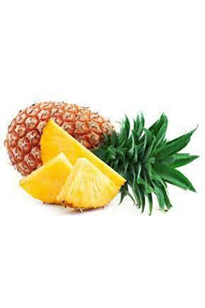 ata tohumculuk 15 Adet Ananas Meyve Tohumu Ananas Tohumu Yerli Ata Tohum Sürpriz Hediye Tohum