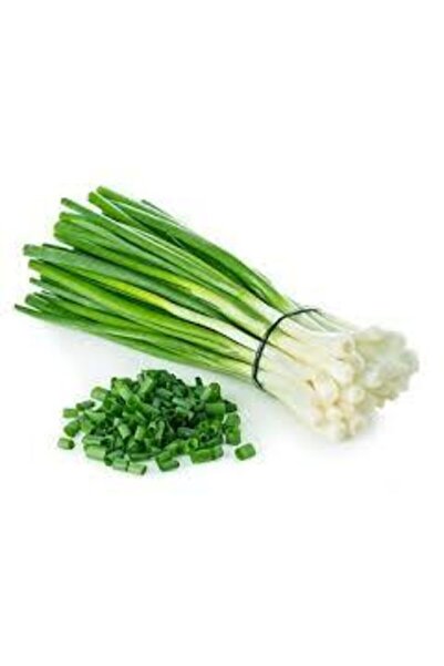 ata tohumculuk 50 Adet Tohum Yeşil Taze Firik Soğan Tohumu Acısız Saksı Topra...