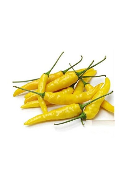 Genel Markalar Turşuluk Sarı Stone Biber Tohumu 20 Adet Süs Biberi Tohumu