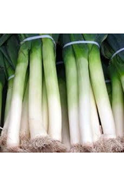 ata tohumculuk 50 Adet Tohum Yeşil Prasa Pırasa Tohumu Sürpriz Hediye Tohumla...