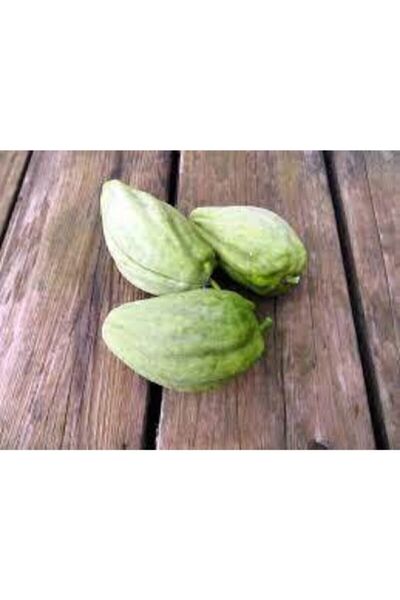 ata tohumculuk 25 Adet Yeşil Yapraklı Mis Kokulu Fesleğen Çiçeği Tohumu