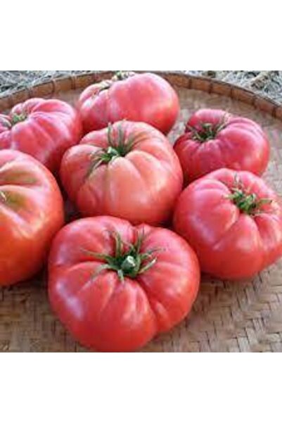 ata tohumculuk 100 Adet Tohum Orjinal Köy Domatesi Tohumu Ata Tohum Yerli Tab...