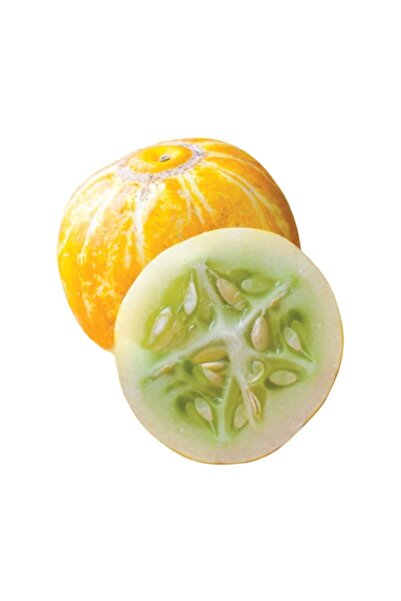Çam Tohumculuk Nadir İthal Limon Salatalık Tohumu 5 Adet Tohum Sarı Salatalık Lemon Cucumber