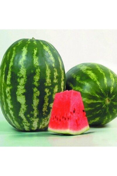 Genel Markalar Tohumculuk Karpuz Tohumu 20 Adet Organik Karpuz Tohumu