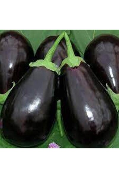 ata tohumculuk 150 Adet Adana Topak Patlıcan Tohumu