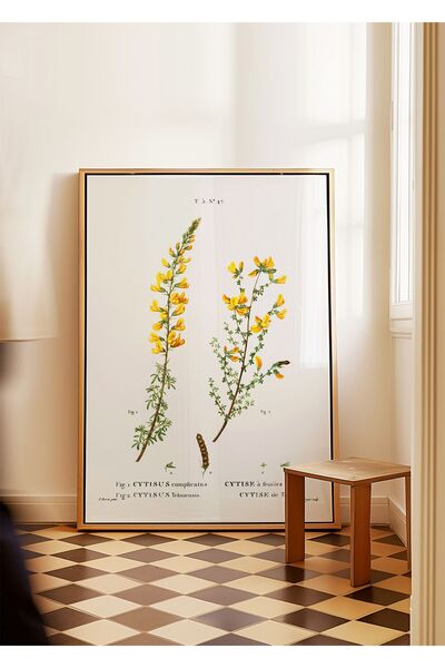 ARTHOUSECOLLECTIVE Artist / Pierre J.R. / Colecția Botanică - Poster fără ramă