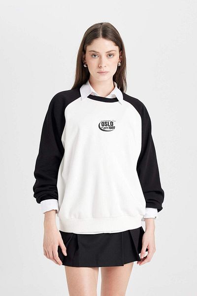DeFacto Coool Loose Fit Sweatshirt mit Farbblock-Aufdruck und Rundhalsausschnitt 3184901