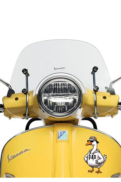 MegaSticker Αυτοκόλλητο 13x9 εκ. Cool Charismatic Goose - Αυτοκίνητο, Μοτοσικλέτα, Κράνος, Laptop, Γυαλί
