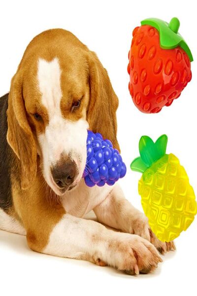 Tasma Market Üzüm Aromalı Sesli Diş Kaşıma Tartar Önleyici Köpek Oyuncağı
