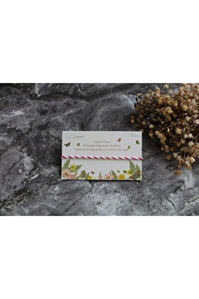 Lavori سوار مارتنيتكا