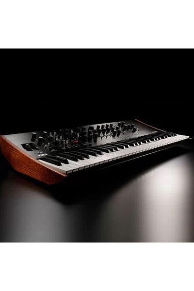 KORG Prologue-16 Model Number Shoes