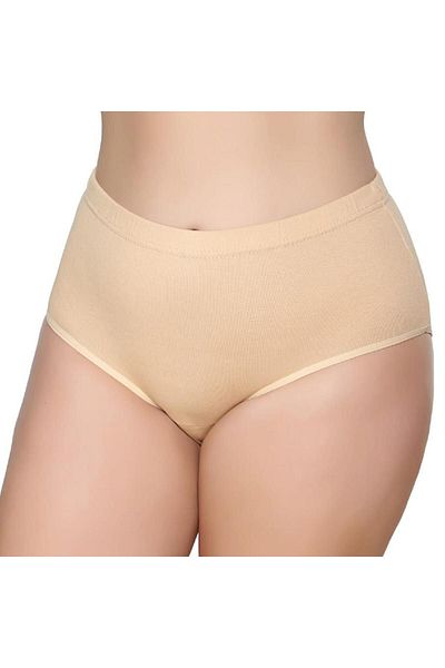 GÜMÜŞ 12 Pieces Silver Battal Colored Ribbed Bato Panties 3041
