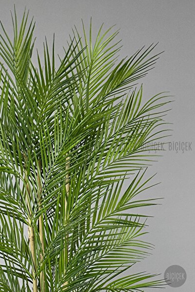 BİÇİÇEK Yapay Areka Ağacı Palmiye Ağacı 33 Yapraklı Bambu Gövdeli Beyaz Kumsal Saksı Salon Çiçeği 150cm
