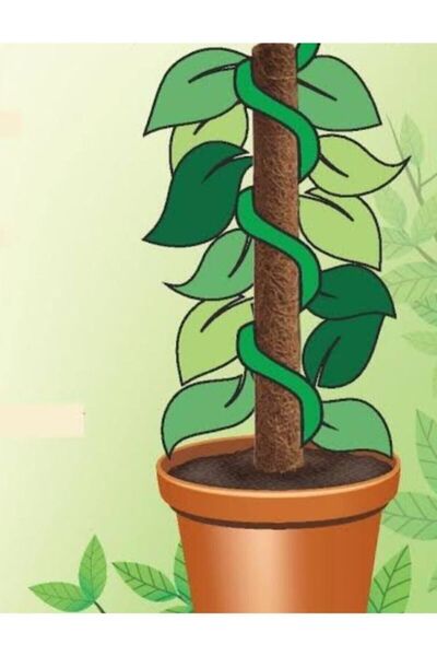 bitkicim Bitki Destek Çubuğu 140cm Yosun Sopası