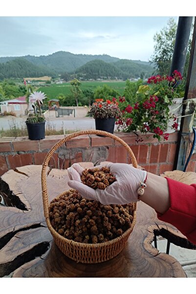 hanımın elinden Dut Kurusu (yeni Mahsul ) 500 gr