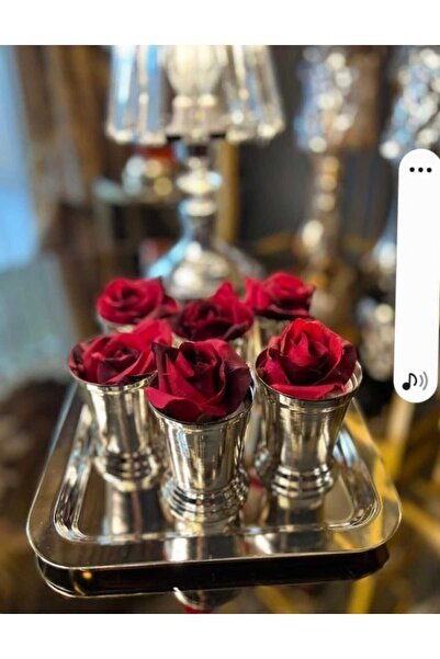 MEYLACO Sunumluk Gümüş Kahve Yanı Tekli Gül Sunumluk