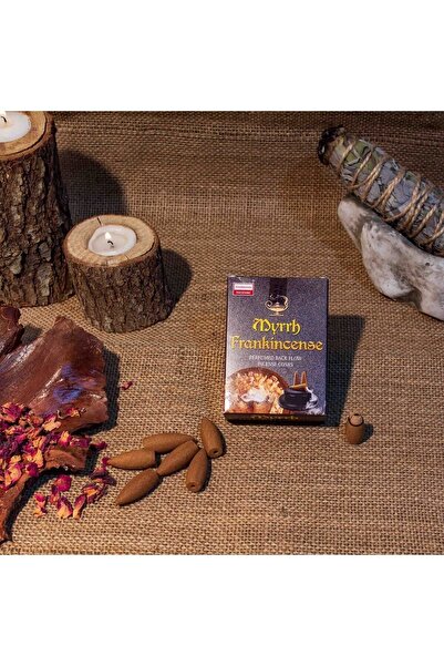 Darshan Incense Mür Geri Akış (BACK FLOW) Tütsü 10 Adet