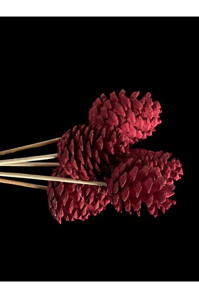 ART PINE DEKORATİF NATURAL BAMBOO DOĞAL KOZALAK DEMETLERİ , MASAÜSTÜ BAHÇE EV...