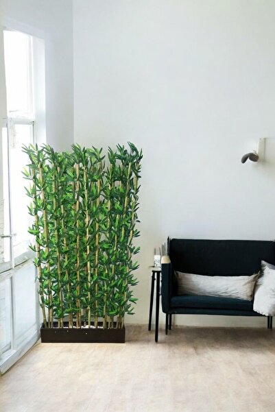 ERHAN FLOWERS ÇİÇEK & DEKORASYON BAMBU SPERATÖR 100 cm saksıda 20 li