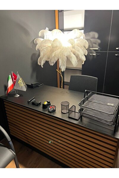 Genel Markalar Golden Amber Deve Kuşu Tüyü Lambader Lambader -özelseri-