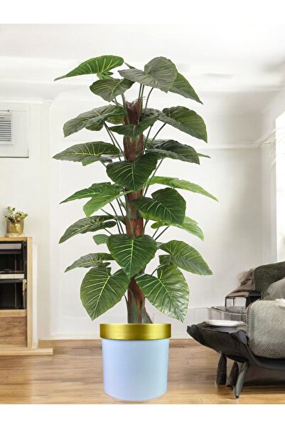 ERHAN FLOWERS ÇİÇEK & DEKORASYON YAPAY 170 CM ALOCOSİA YAPAY AGAÇ 1.KALİTE